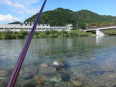 鮎の殿堂 板取川 中央区 鮎釣り釣行 18 08 29